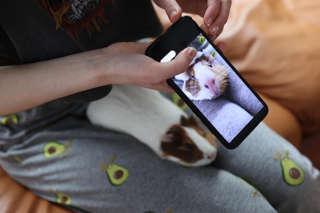 A close-up shot of a smartphone screen showing an AI pet app interface. The virtual pet is animated and interactive, responding to touch and voice commands. The background indicates a modern, minimalist apartment.