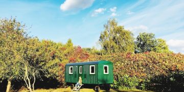 The Tiny House Movement: Why Minimalism and Sustainability Are Trending in the US - Cover Image