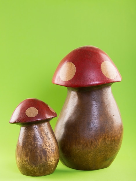 A split-screen image showing two similar-looking mushrooms side-by-side: on the left, an edible mushroom with distinct, identifiable features; on the right, a poisonous look-alike with subtle but dangerous differences highlighted. Descriptive labels point out the key distinguishing characteristics.