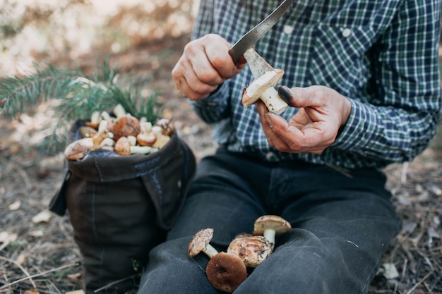 A forager kneeling in a forest, carefully cutting a mushroom from its base with a small knife, while leaving the surrounding leaf litter and soil undisturbed. The forager's hand shows a gentle and respectful approach to harvesting.