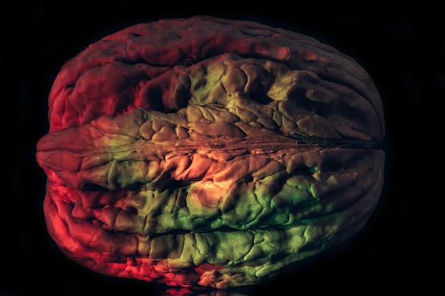 A visually appealing graphic showing a brain with different areas highlighted, each labeled with a positive effect of gratitude, such as 