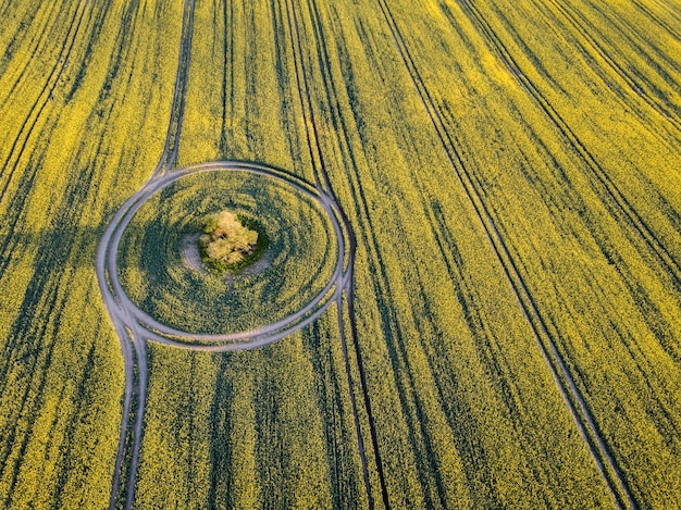 Crop Circles in Kansas: New 2025 Formations – Hoax or Alien Sign?