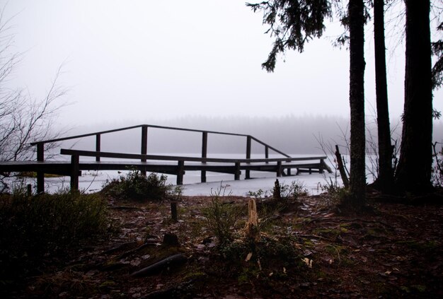 Bridgewater Triangle: Unveiling Massachusetts’ Paranormal Hotspot