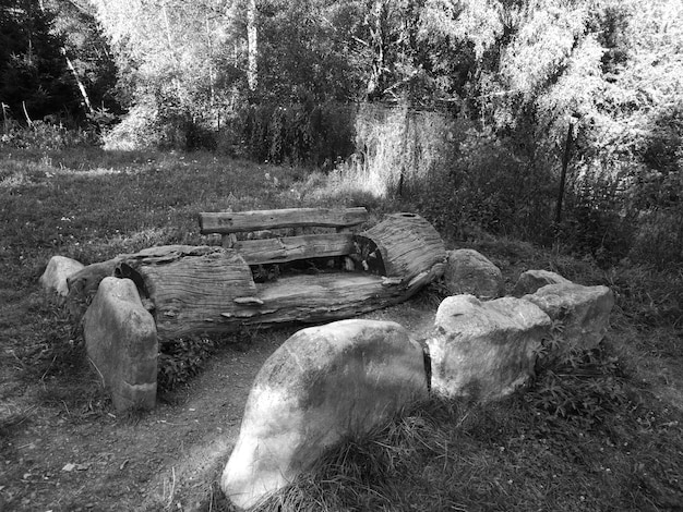 A sepia-toned photograph depicting a colonial-era graveyard with weathered tombstones in Massachusetts. The stones are old and worn, with inscriptions that are difficult to read, hinting at the passage of time and the weight of history. Overgrown weeds and tall grasses surround the graveyard, creating a sense of neglect and isolation. The soft, filtered light and shadows add to the solemn and slightly eerie atmosphere of the image, invoking the feeling of a place haunted by memories of the past.