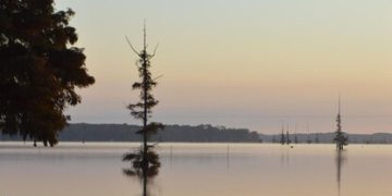 Champy: Unraveling the Lake Champlain Monster Mystery - Cover Image
