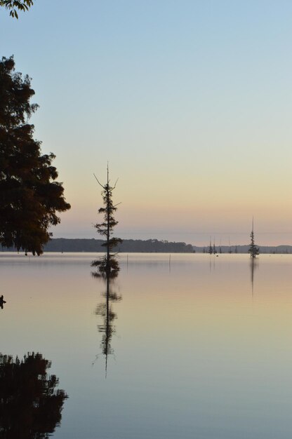 Champy: Unraveling the Lake Champlain Monster Mystery