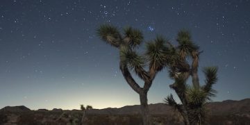 Marfa Lights Mystery: Texas Desert Orbs Still Unseen in 2025 - Cover Image