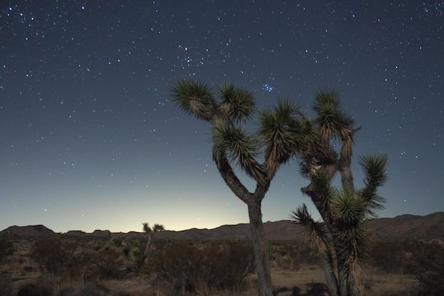 Marfa Lights Mystery: Texas Desert Orbs Still Unseen in 2025