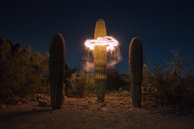 A movie poster advertising a fictional thriller film set in the Texas desert, featuring mysterious orbs of light in the background suggestive of the Marfa Lights phenomenon.