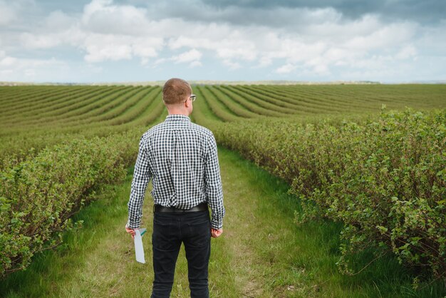 A farmer standing in the middle of a crop circle, looking concerned. The surrounding crops are flattened in a precise, geometric pattern. The farmer is wearing a hat and overalls, and his expression is a mix of curiosity and worry.