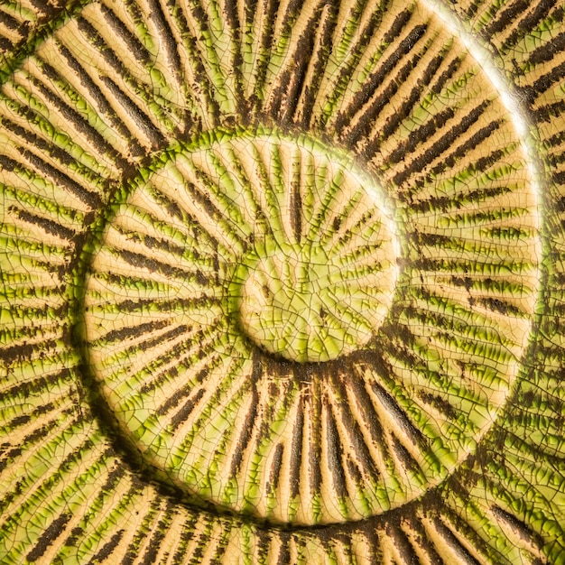 Close-up view of a crop circle's flattened stalks, highlighting the precision and intricate swirling patterns within the design.