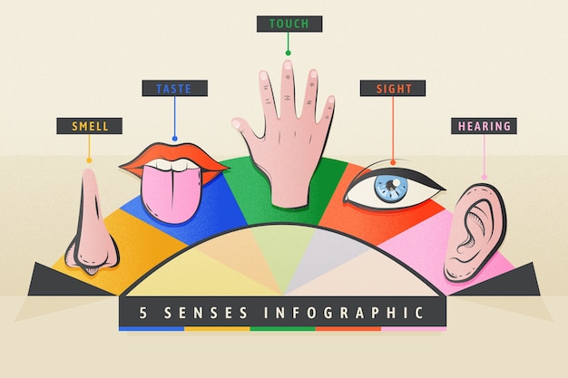 A digital illustration showing different sources of ASMR triggers, including visual (gentle hand movements), auditory (whispering and crinkling sounds), and tactile (light touch). The illustration is colorful and engaging, representing the sensory nature of ASMR.